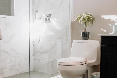 Modern bathroom with shower and toilet
